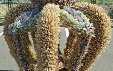 542761822_1211322957706640_479783180493621460_n