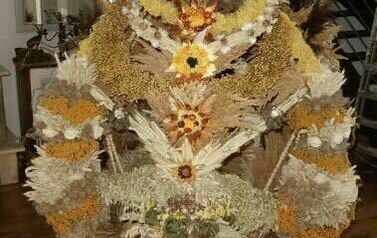 541804463_1211319624373640_2512076671372012154_n