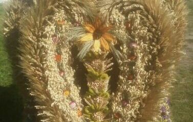 540698672_1211325891039680_575155051226585034_n