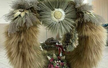 540532036_1210970671075202_3226055344140316501_n