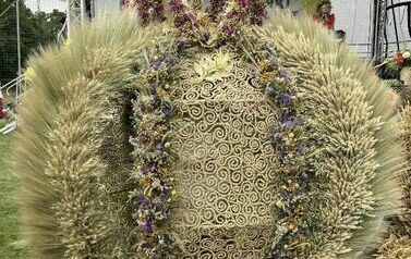 540436631_1210970147741921_7648277836861359058_n