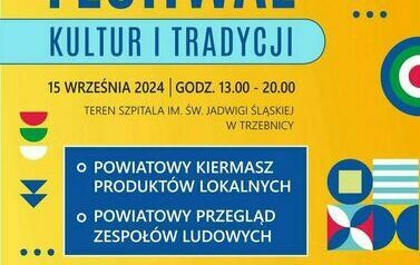 FESTIWAL 12