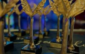 480567680_1056043436567927_4115436211474578351_n