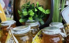 494500783_1142350764603860_19499467199583114_n