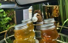 514284731_1159474572891479_257143880647220146_n