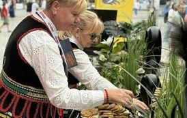 513901953_1159474019558201_1447935217447975932_n