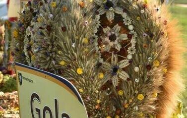 wieniec 1