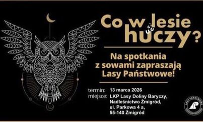 Zdjęcie do CO HUCZY W LESIE? - KOLEJNA EDYCJA