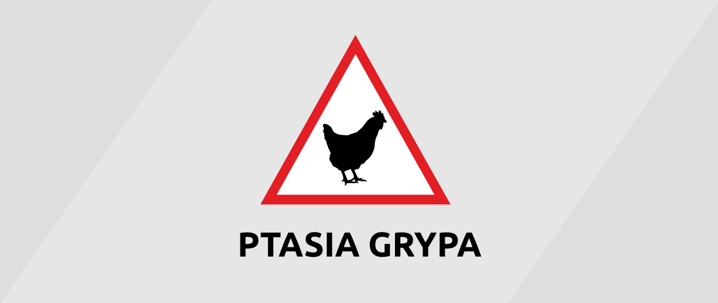 Ptasia Grypa